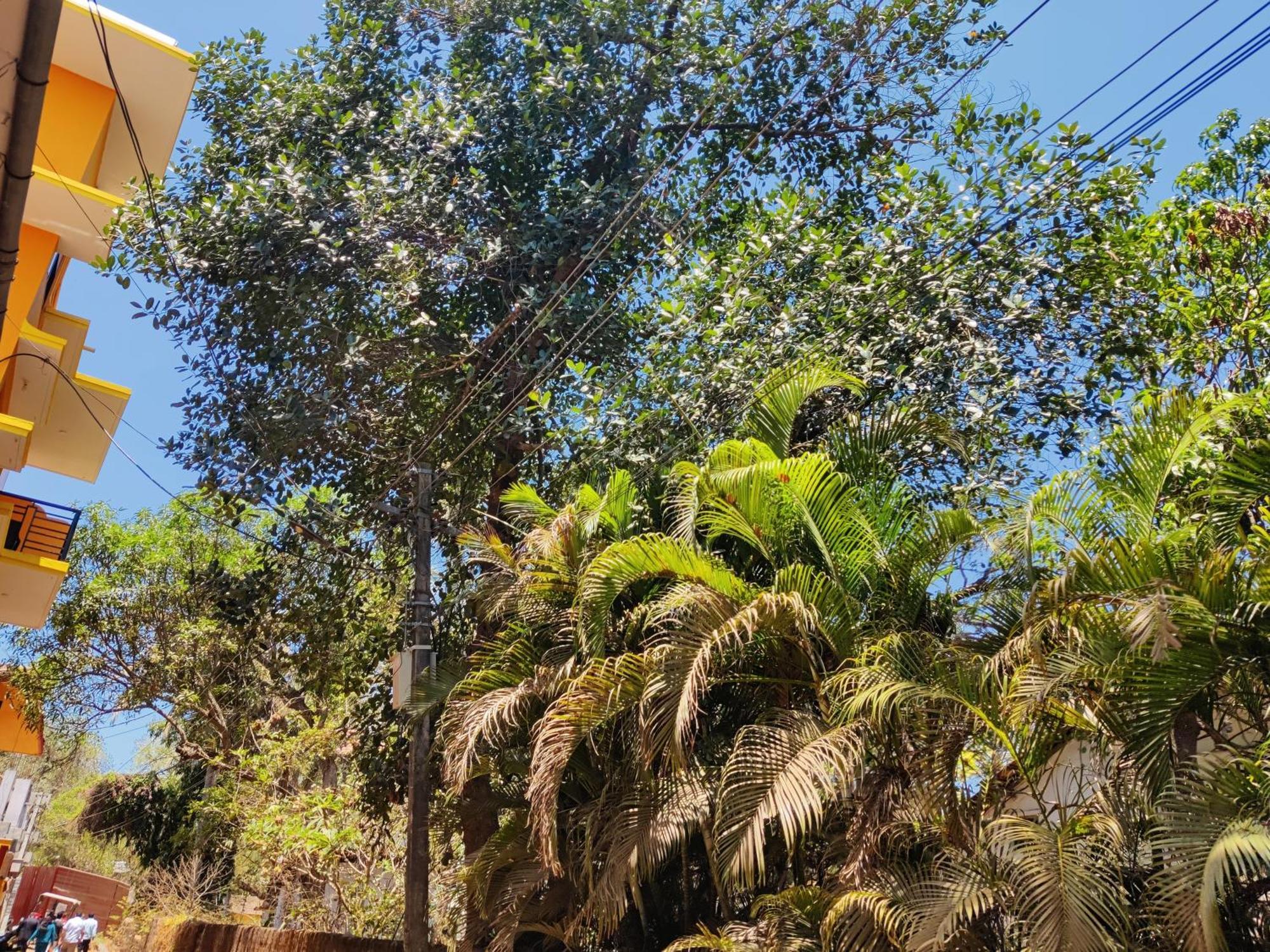 Sai Guru Guest House Anjuna Exterior foto